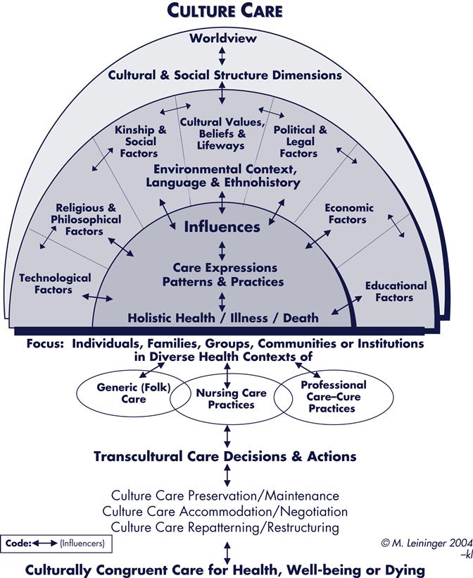 Madeleine Leininger Culture Care Diversity And Universality - PSYCH ...