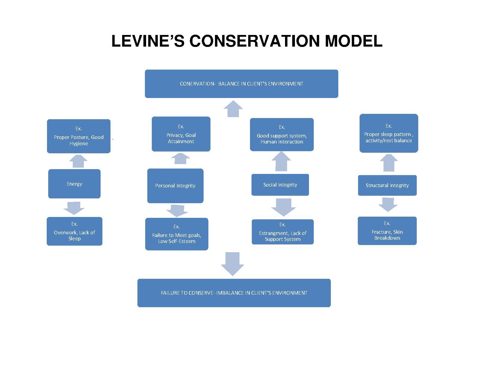 Myra Levine Conservation Model - PSYCH-MENTAL HEALTH NP