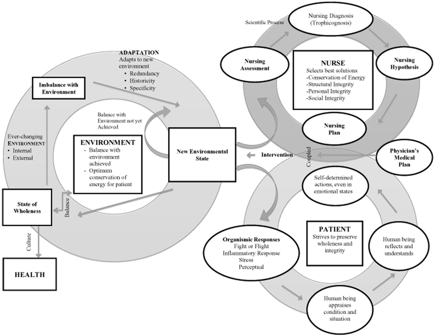 Myra Levine Conservation Model - PSYCH-MENTAL HEALTH HUB